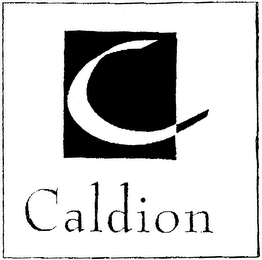 C CALDION