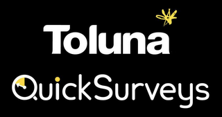 TOLUNA QUICK SURVEYS