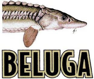 BELUGA