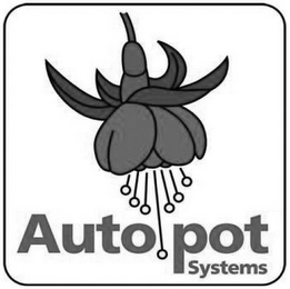 AUTO POT SYSTEMS