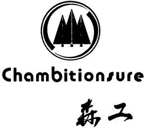 CHAMBITIONSURE