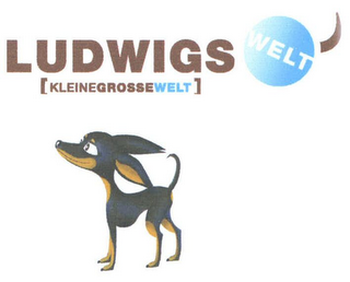 LUDWIGS WELT [KLEINEGROSSEWELT]