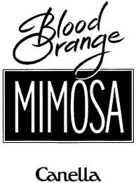 BLOOD ORANGE MIMOSA CANELLA