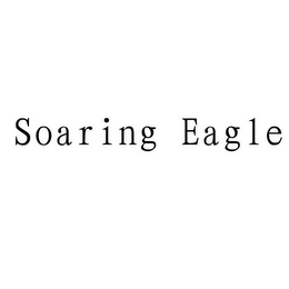 SOARING EAGLE