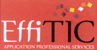 EFFITIC APPLICATION PROFESSIONAL SERVICES