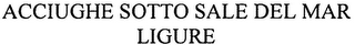ACCIUGHE SOTTO SALE DEL MAR LIGURE