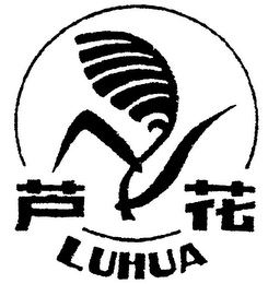 LUHUA