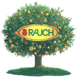 RAUCH