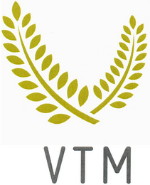 VTM