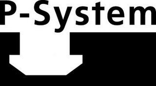 P-SYSTEM