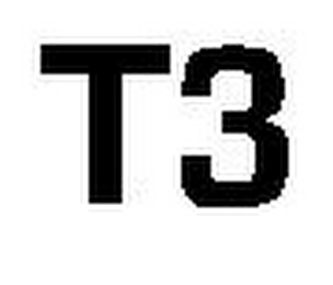 T3