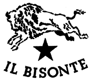 IL BISONTE