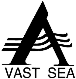 A VAST SEA