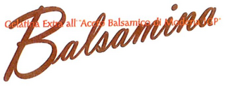 BALSAMINA GELATINA EXTRA ALL' ACETO BALSAMICO DI MODENA IGP