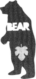 BEAR