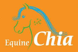 EQUINE CHIA