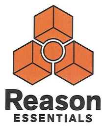 REASON ESSENTIALS