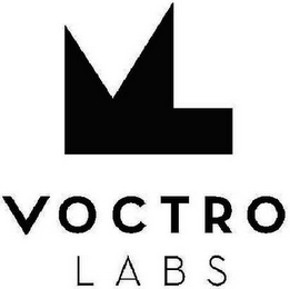 VOCTRO LABS