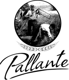 PALLANTE