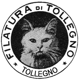FILATURA DI TOLLEGNO TOLLEGNO
