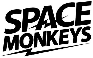 SPACE MONKEYS