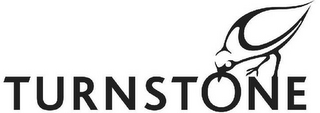 TURNSTONE