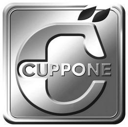 C CUPPONE