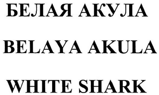 BELAYA AKULA WHITE SHARK
