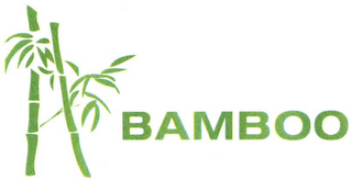 BAMBOO