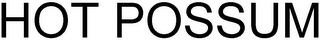 HOT POSSUM