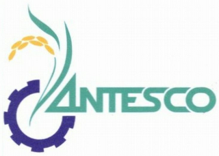 ANTESCO