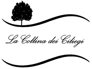 LA COLLINA DEI CILIEGI