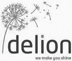 DELION WE MAKE YOU SHINE