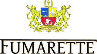 FUMARETTE PRO CORPORE SANO