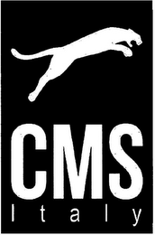 CMS ITALY