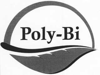 POLY-BI