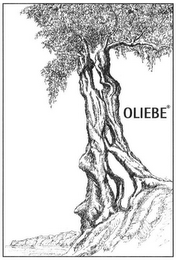 OLIEBE