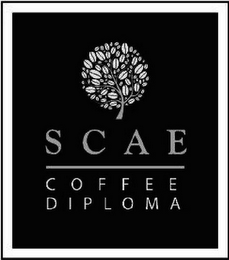 SCAE COFFEE DIPLOMA