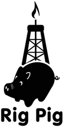 RIG PIG