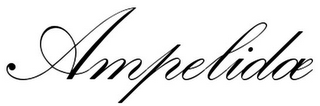AMPELIDAE