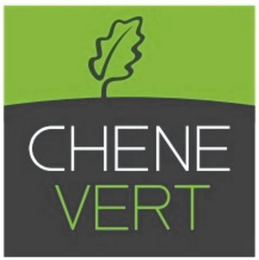 CHENE VERT