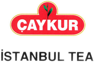 ÇAYKUR ISTANBUL TEA