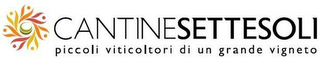 CANTINESETTESOLI PICCOLI VITICOLTORI DI UN GRANDE VIGNETO