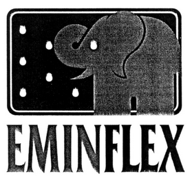 EMINFLEX