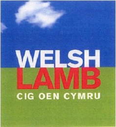 WELSH LAMB CIG OEN CYMRU