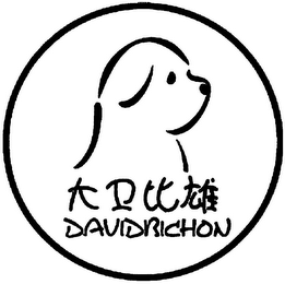 DAVIDBICHON