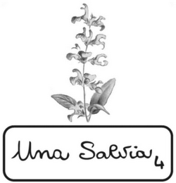 UNA SALVIA 4