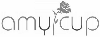 AMY CUP