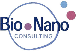 BIO NANO CONSULTING