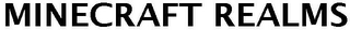 MINECRAFT REALMS